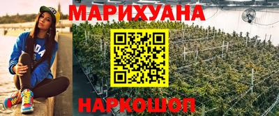 индика Нальчик
