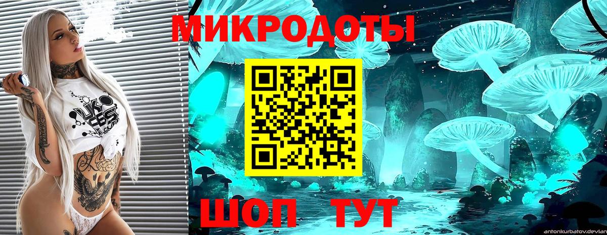 Псилоцибиновые грибы мицелий Азнакаево